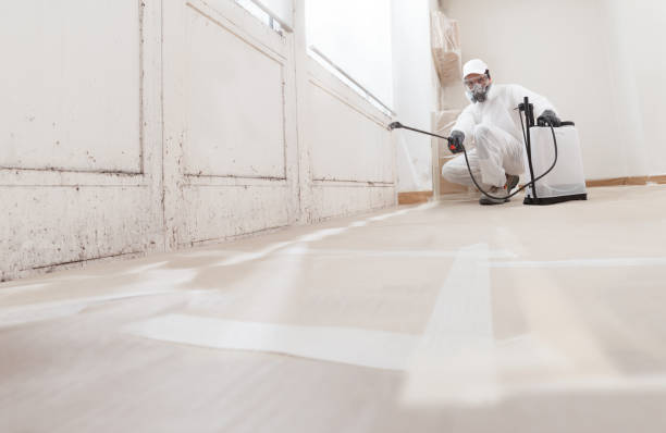24/7 Emergency Mold Cleanup experts in Weston, FL